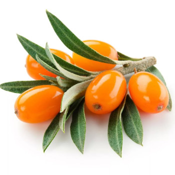 Seabuckthorn Pulp (Надкритичний СО2 екстракт обліпихи) Seabuckthorn Pulp (Надкритичний СО2 екстракт обліпихи)