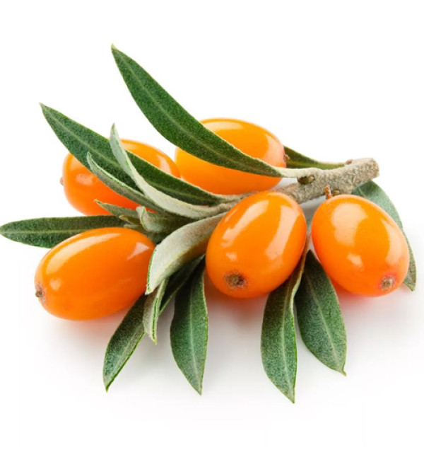 Seabuckthorn Pulp (Надкритичний СО2 екстракт обліпихи)