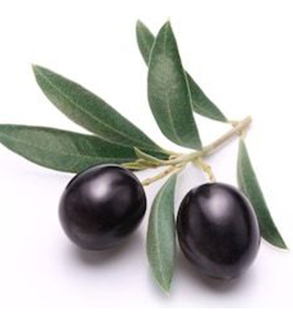 Olivem 2020 (Емульгатор Олівем 2020)