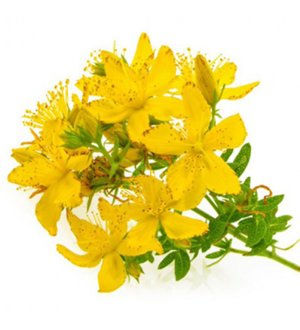 St. John's Wort (Надкритичний СО2 екстракт звіробою продірявленого фотостабільного)