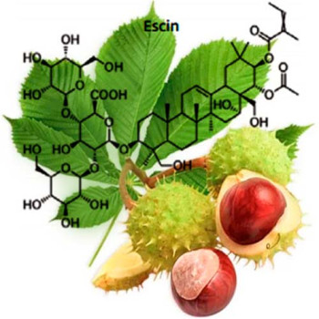 Escin phytosome (Есцин) Escin phytosome (Есцин)