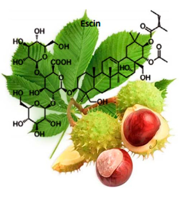Escin phytosome (Есцин)