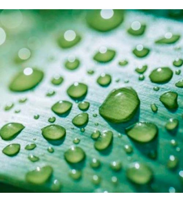 Консервант Cosphaderm® Hexiol (Косфадерм Хексіол)