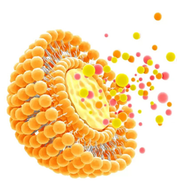LipoRetinol (Ліпосомальний ретинол, Ретинол у ліпосомах)