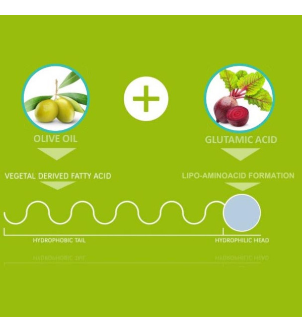 Olivoil Glutamate Emulsifier (Емульгатор Олівоіл Глютамат)