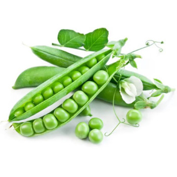 Vegetamide 18MEA-NJ (Вегетамід, пептид гороху) Vegetamide 18MEA-NJ (Вегетамід, пептид гороху)