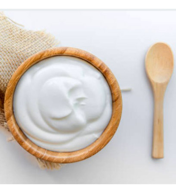 Йогурт концентрат (Йогуртовий концентрат, Yogurt)